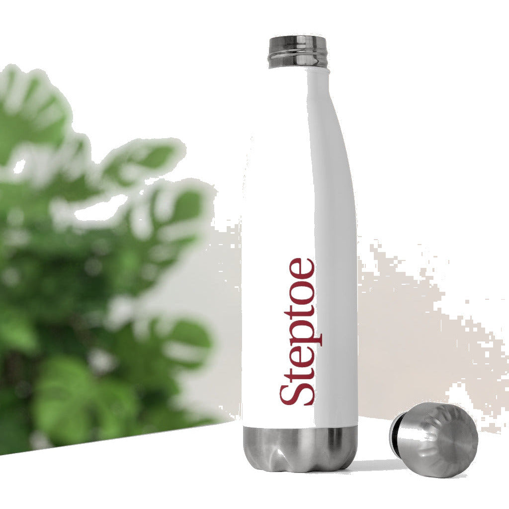 Steptoe 20oz Insulated Bottle